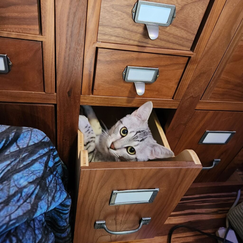 Mimir being cute.